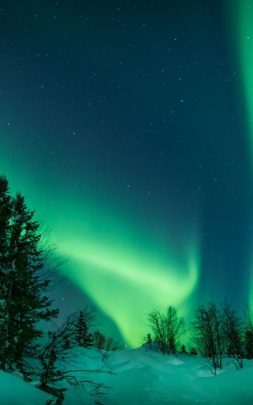 Northern Aurora 1 by Dan Twitchell, OPA, AIS