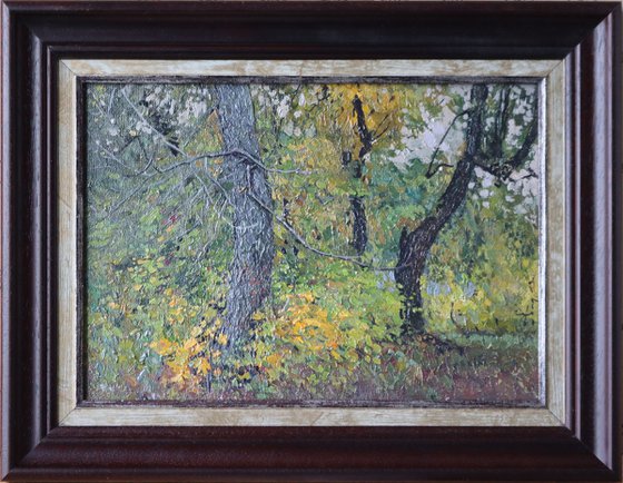 Chestnut tree in autumn. Tsaritsyno