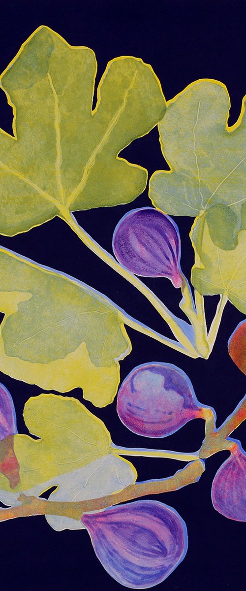 Nature's Jewels by Helen Boden