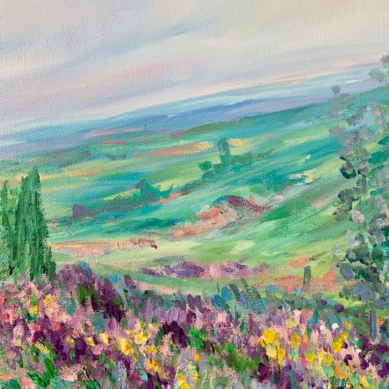 Fields of Provence