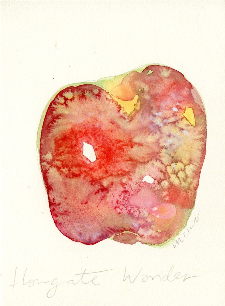 Howgate Wonder Apple Watercolour by Hannah Clark