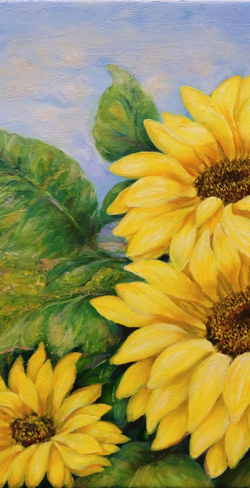 Tender sunflowers by Anastasia Woron