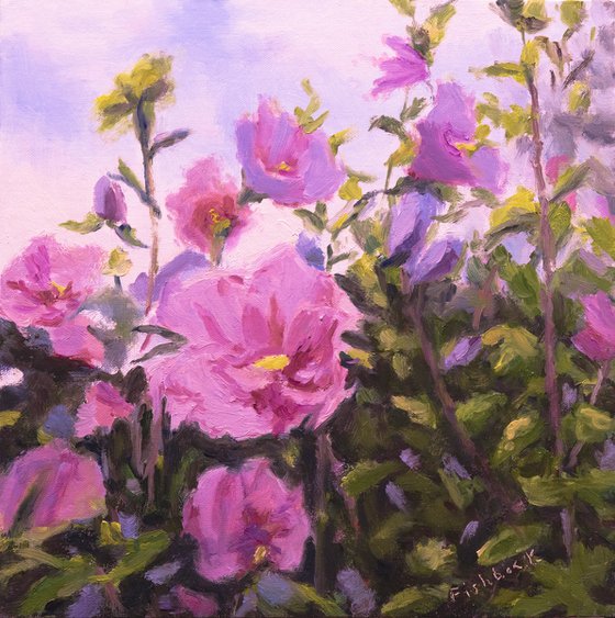 Purple Rose of Sharon Blossoms