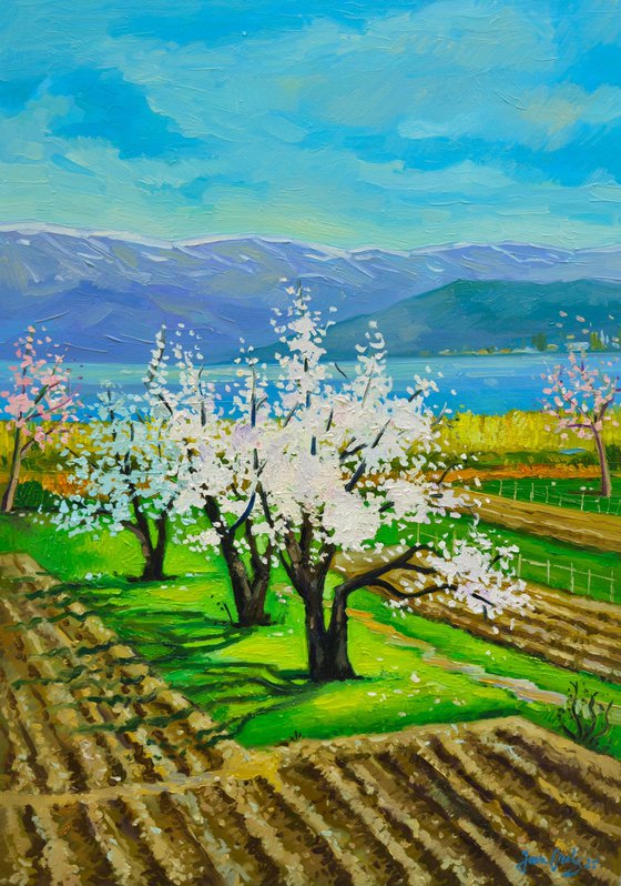 Spring day