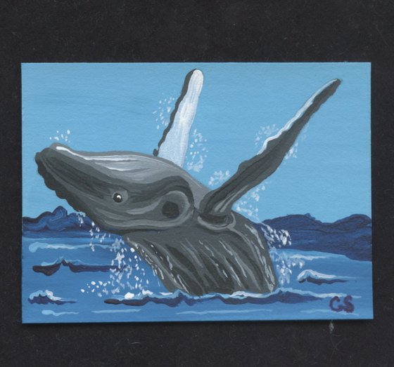 ACEO ATC Original Miniature Painting Humpback Whale Marine Wildlife Art-Carla Smale