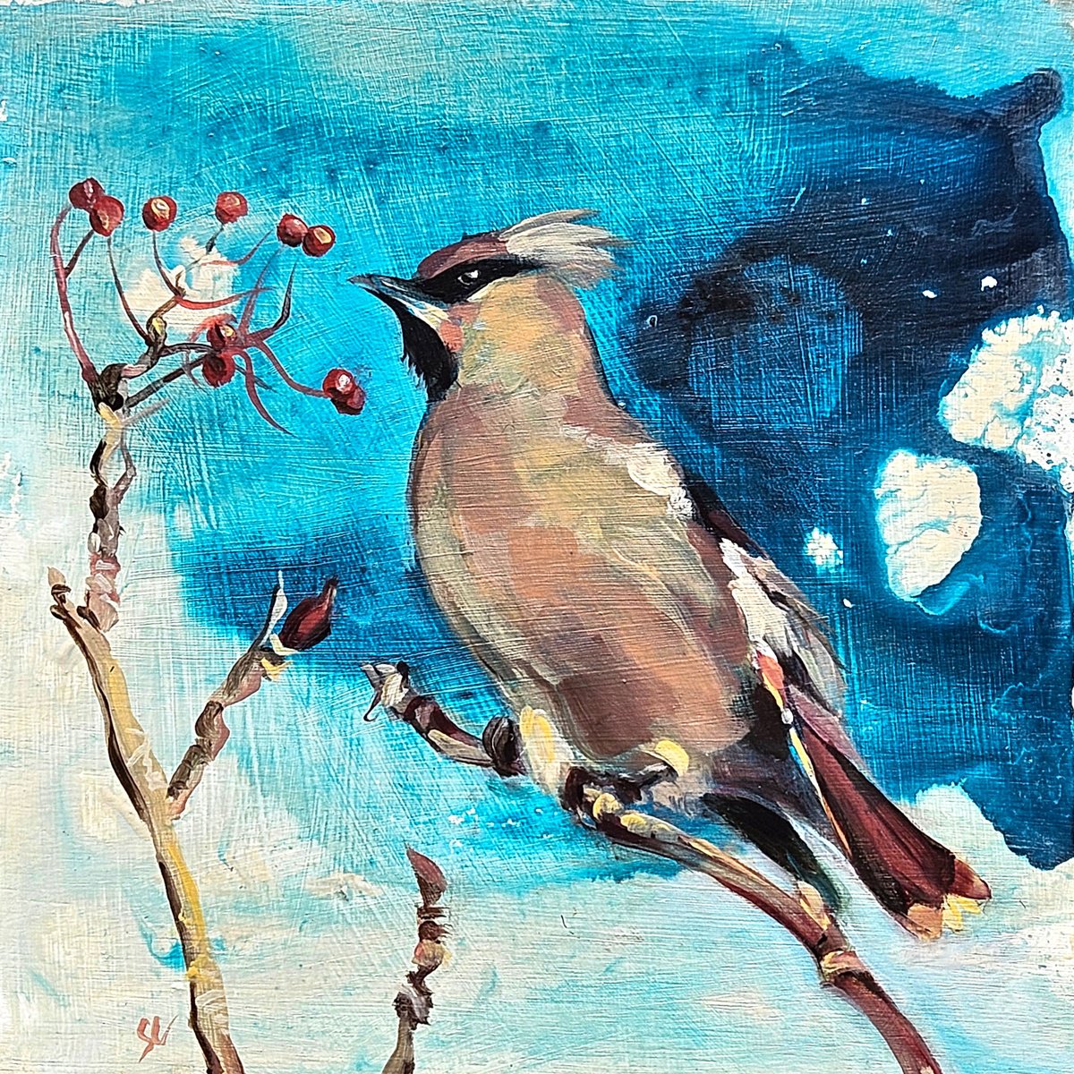 Bonnie Bohemian Waxwing by Sheila Chapman