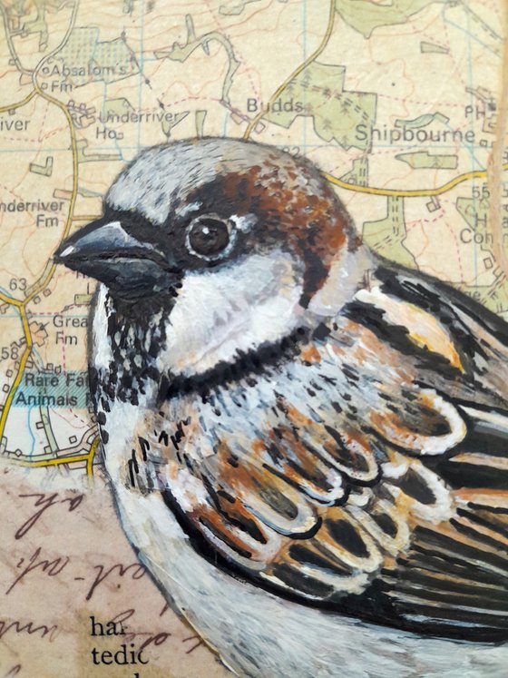 The bird and the Bourbons