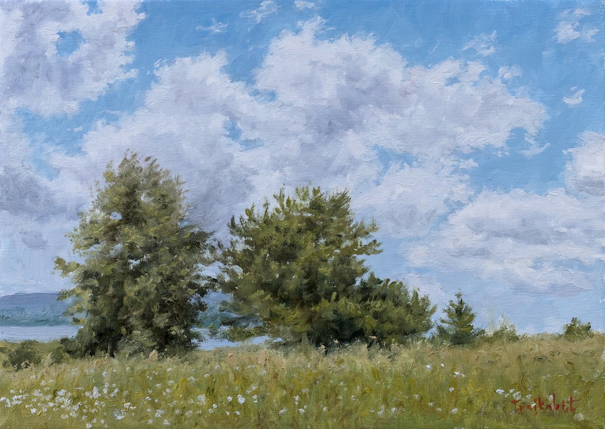 Impressionistic Landscape Oil Painting By Dejan Trajkovic, 20 X 16, Longdale 2, Original Artwork