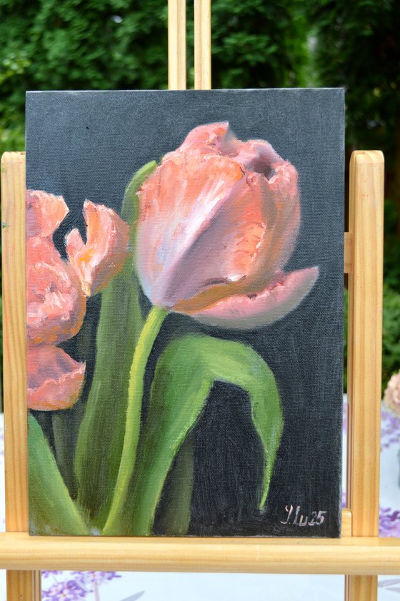 Coral tulips 4