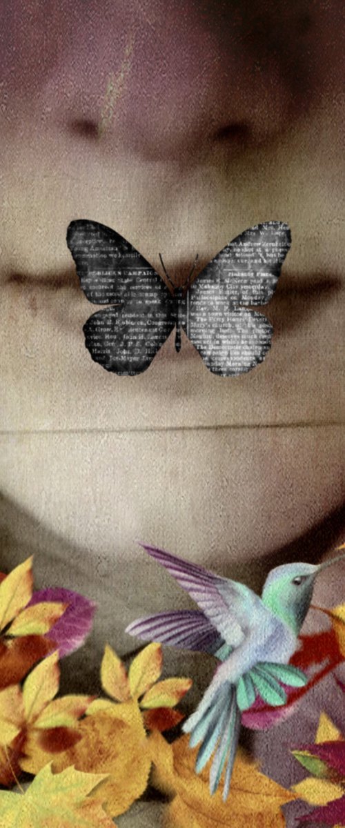 Black butterfly - Photography - Surreal - Manipulated by Carmelita Iezzi