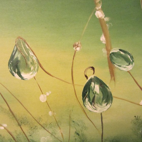 The Drops