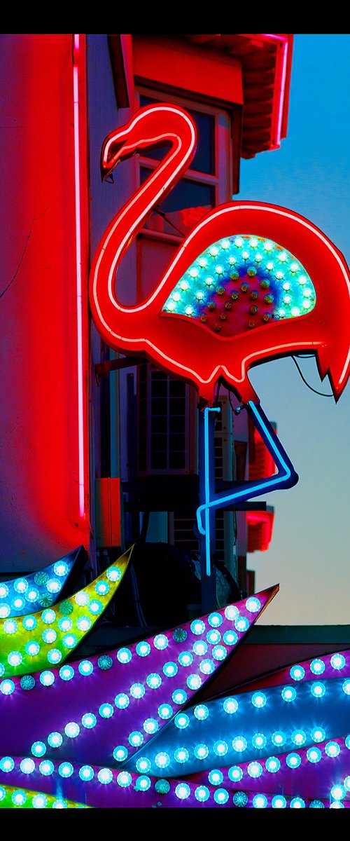 Neon Flamingo, Norfolk by Richard Heeps