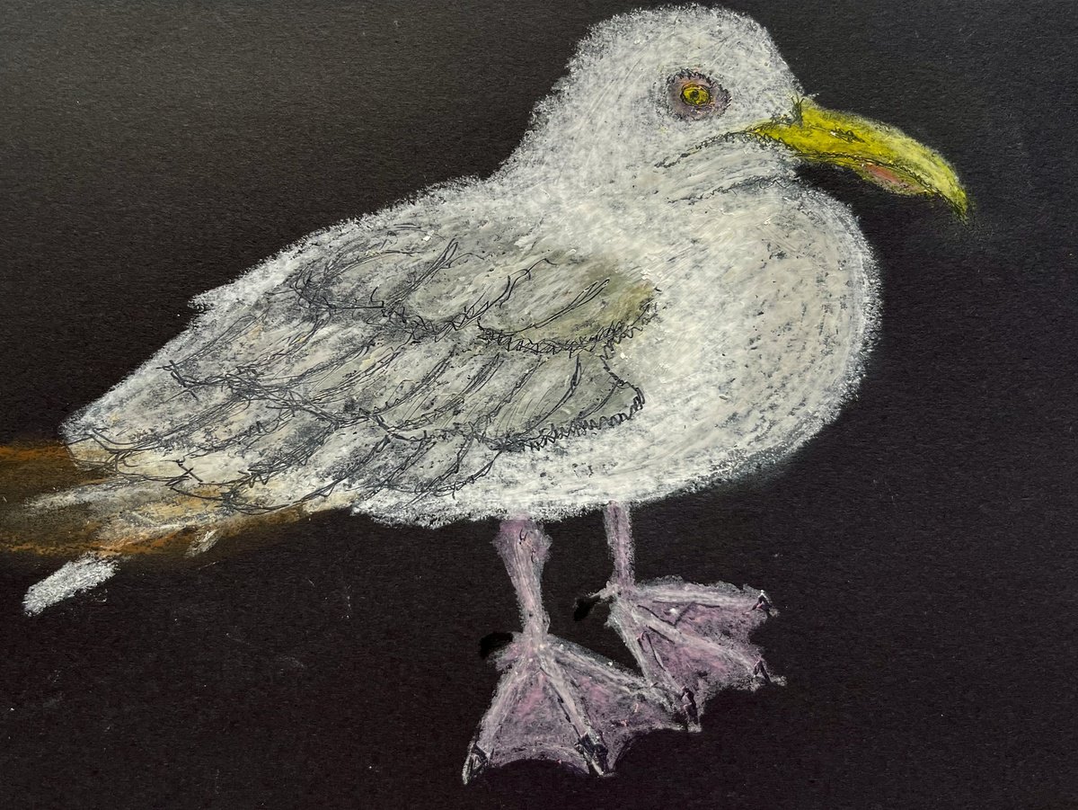 The Grumpy Seagull by David Lloyd
