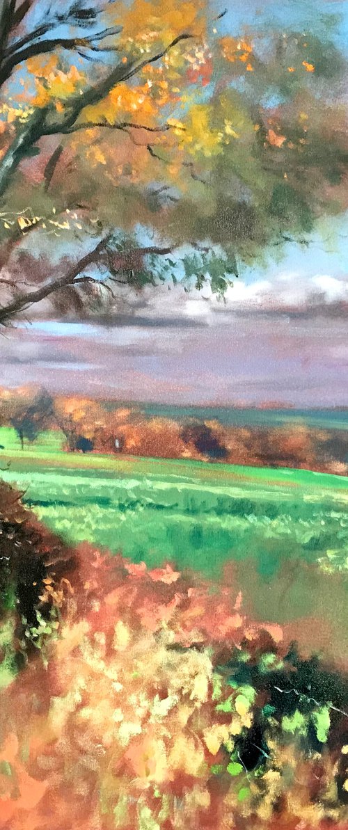 Road to Meonstoke 2 by John Welsh