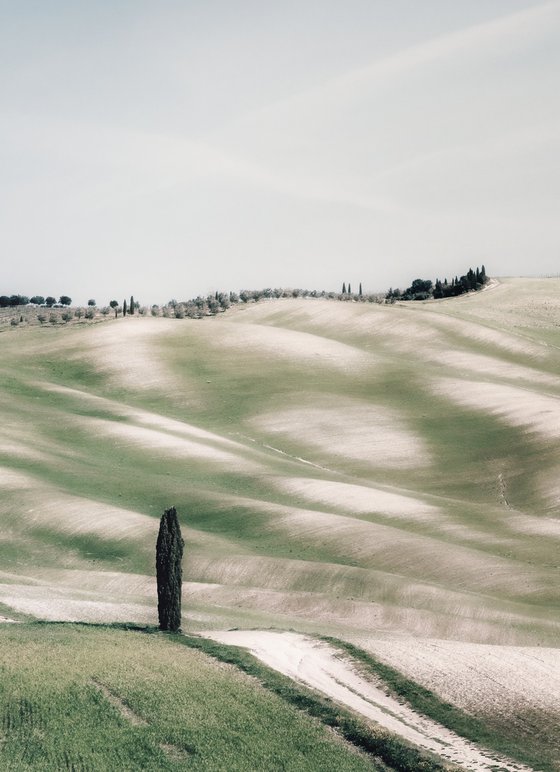 Val d'Orcia dreaming