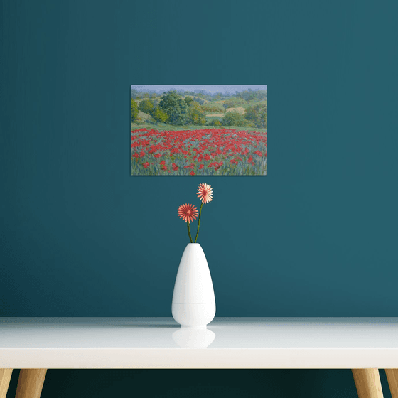 Field of poppies in Tuscany