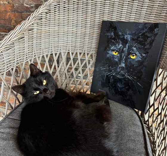 "Black cat on black"