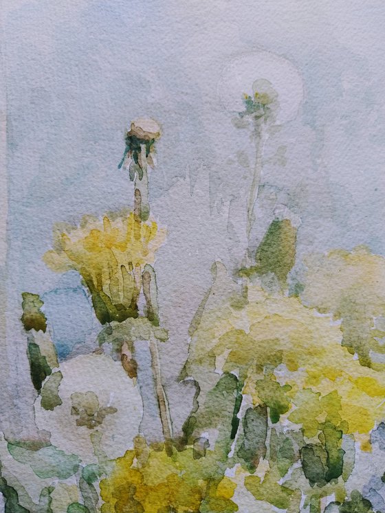 Dandelions. Original watercolour painting.