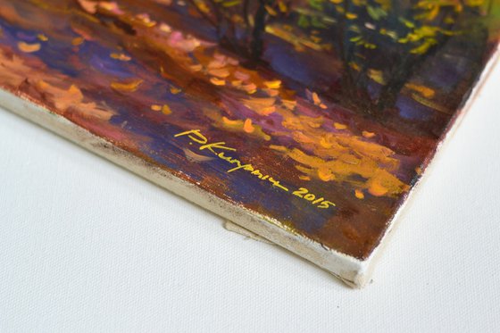 Autumn in the birch park