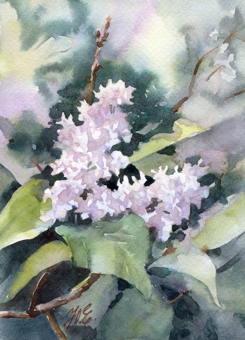 White lilac flowers by Yulia Evsyukova