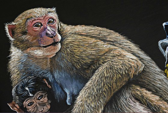 This is our home , right?