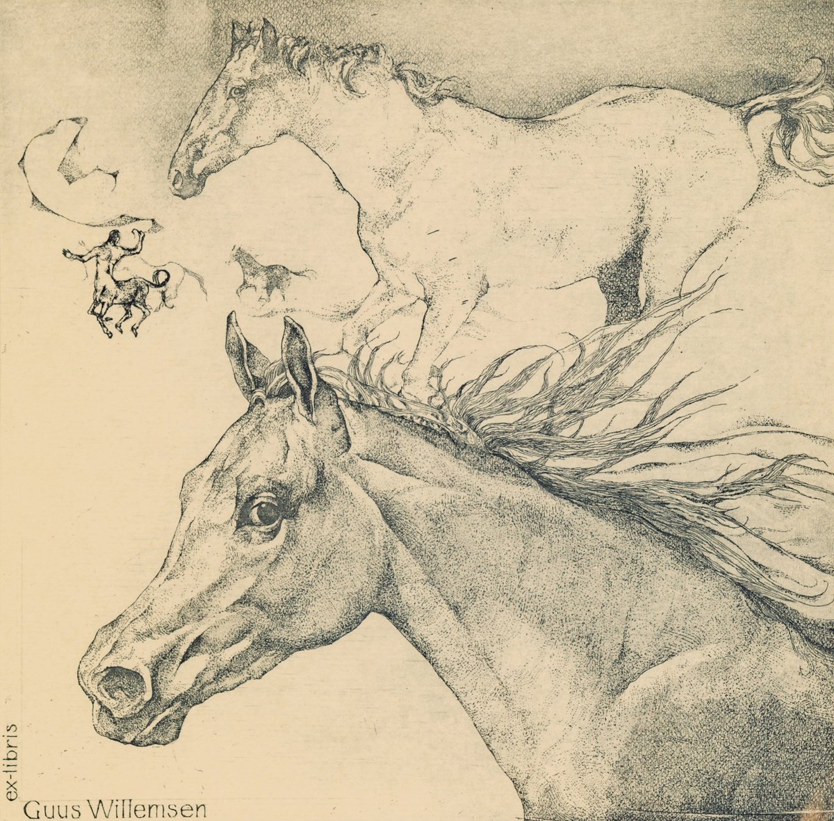 The Arabian Stallion by Eugenia Timoshenko
