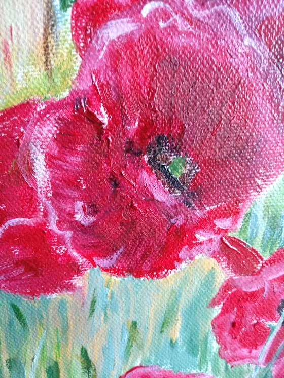 Poppies - flowers