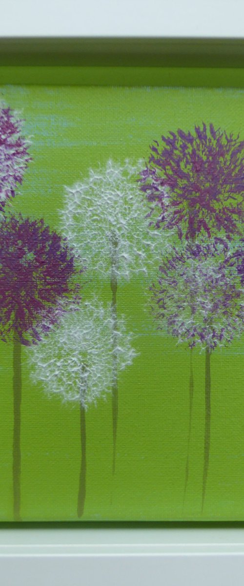 Alliums on green by Elaine Allender