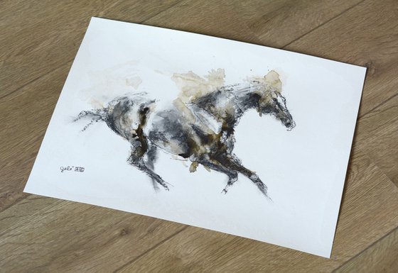 Equine Nude 77t