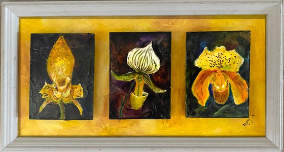 Orchids Collection 3 piece set original oil paintings gessoed 3x4 masonite floating on gessoed panelboard.