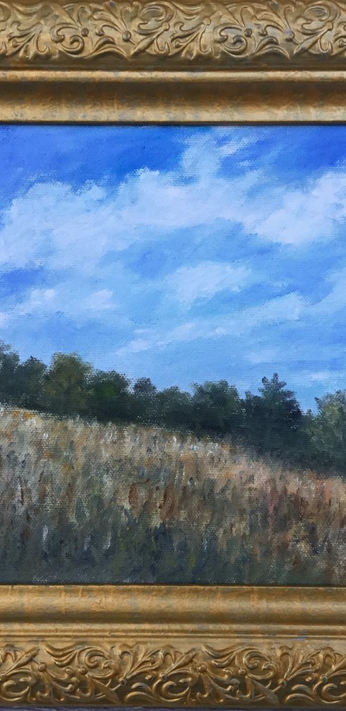 FIELD OF BROOM SEDGE by Kathleen McDermott