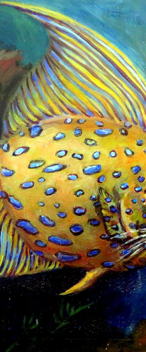 Tiger Fish by QI Debrah