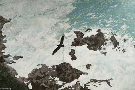 “Freedom” Bird Soaring