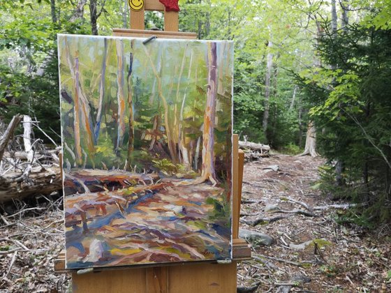 Plein air at the Old Coach Trail, original, one of a kind, oil on canvas impressionistic style painting  (12×16'')