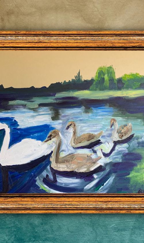 Swans On A Lake by Ryan  Louder