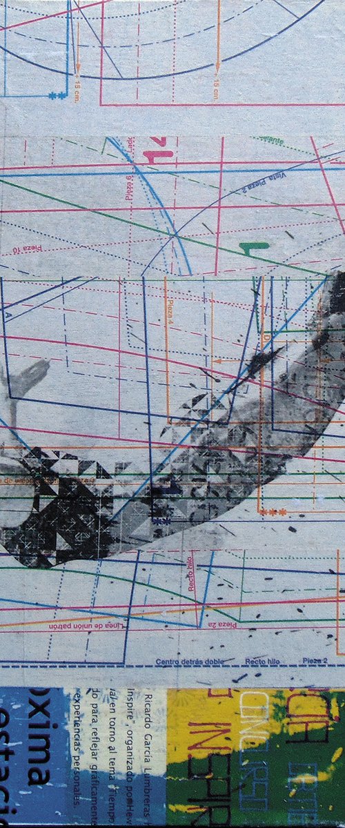 Collage_35_30x30 cm_Swimmer by Manel Villalonga
