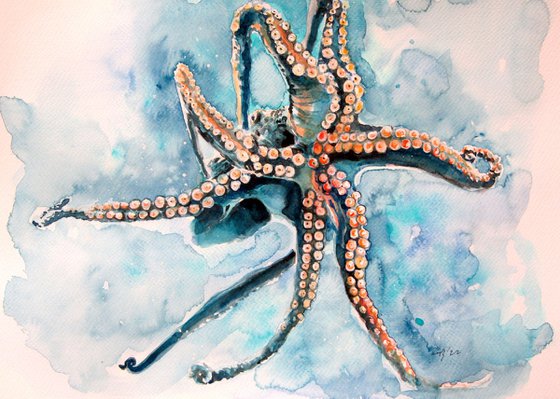 Octopus