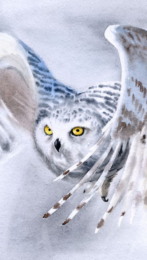 Flying Snowy Owl by Olga Beliaeva Watercolour