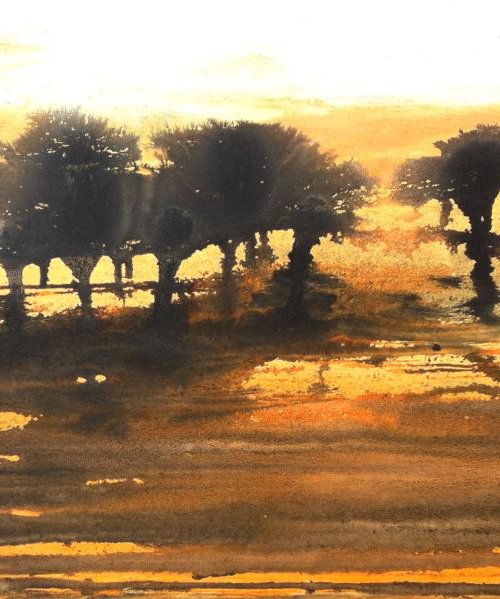 Africa by Tiny de Bruin