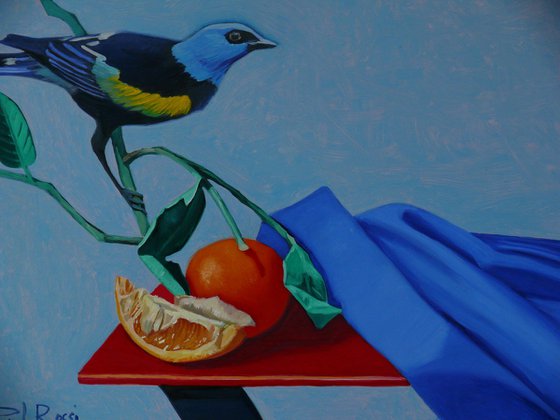 Still-Life With Tanager