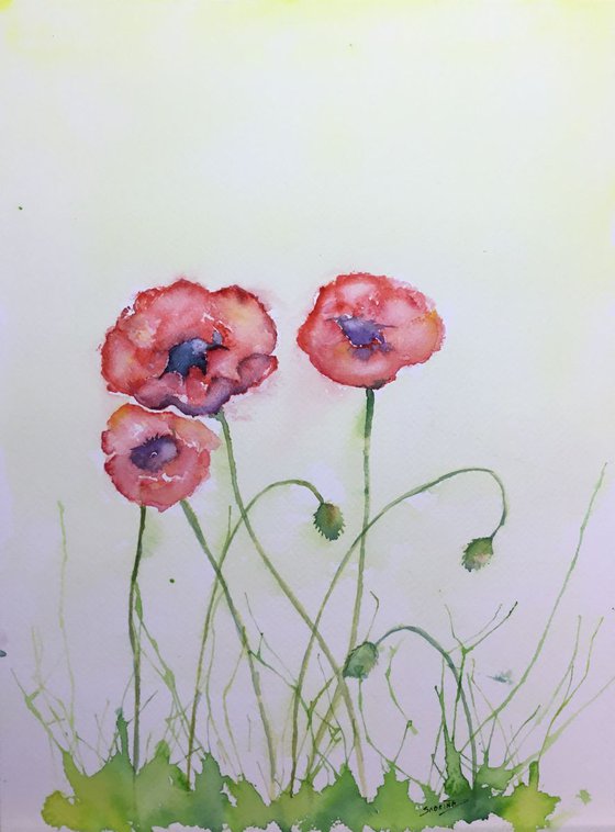 Poppies #2