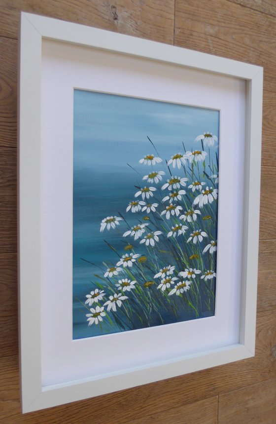 Coastal Daisies