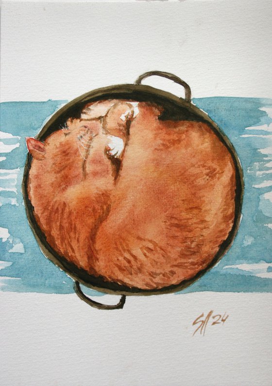 Sleeping cat