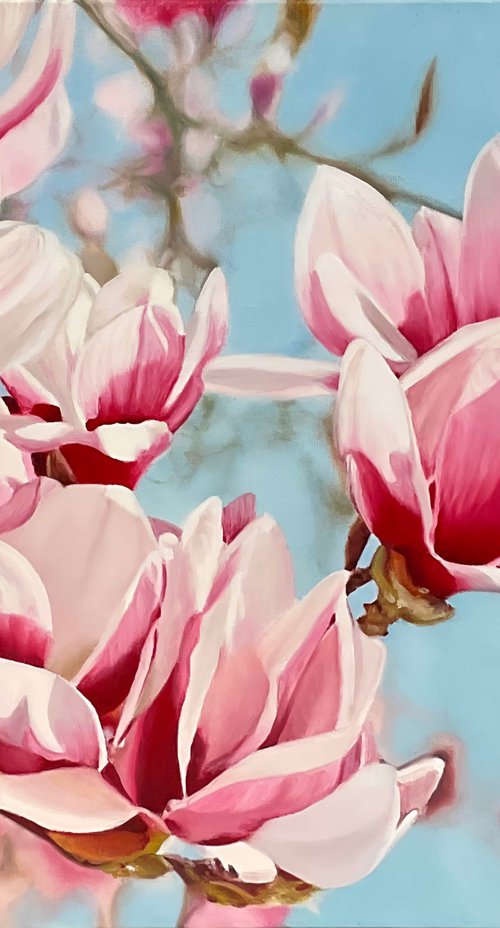 Magnolia Flowers by Alla Kallas