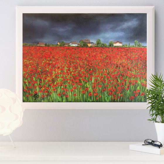 Poppy fields