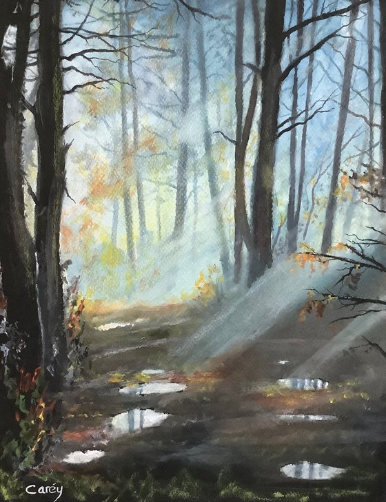 Forest Light