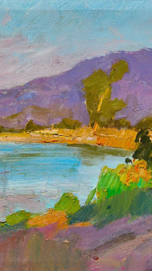 On the Tisza by Alexander Shandor