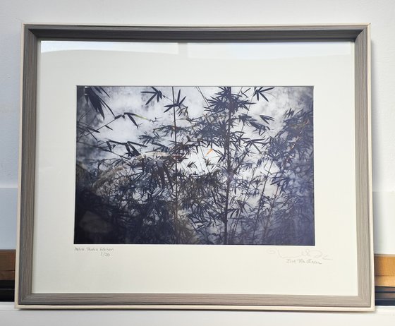 (FRAMED) The power of simplicity II