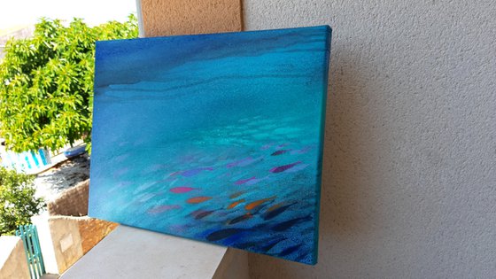 Fish nº54