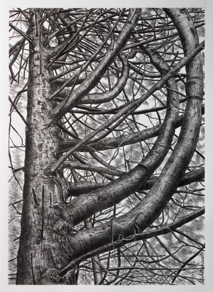 Photorealistic Landscape Charcoal Drawing By Stefan Fierros, 20 X 28", The Essence Of My Friends #6, Original Artwork